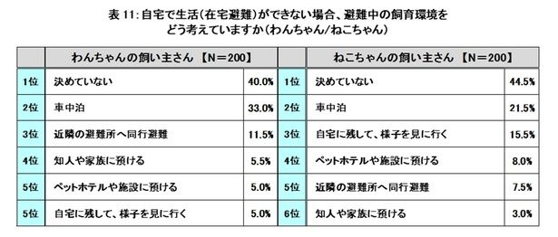 犬は『近隣の避難所へ同行避難』、猫は『自宅に残して、様子を見に行く』が上位に入る違いも