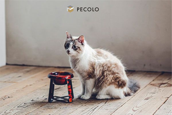 【東京都港区】ペット×日本の伝統工芸「PECOLO」から「PPP 輪島漆塗りフードスタンド」が登場