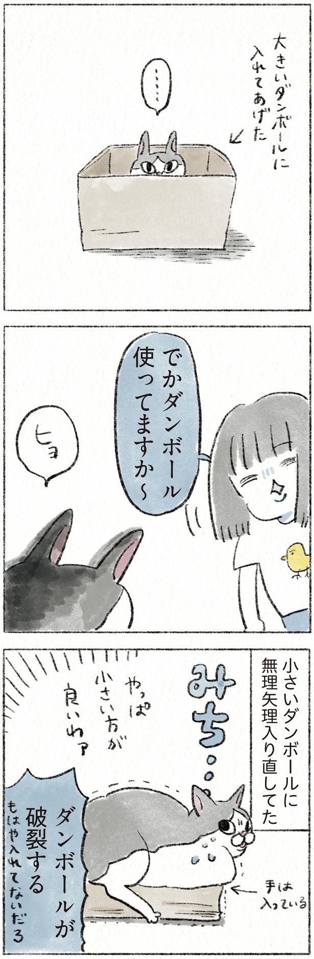 ダンボールが破裂する （C）のなか海／KADOKAWA