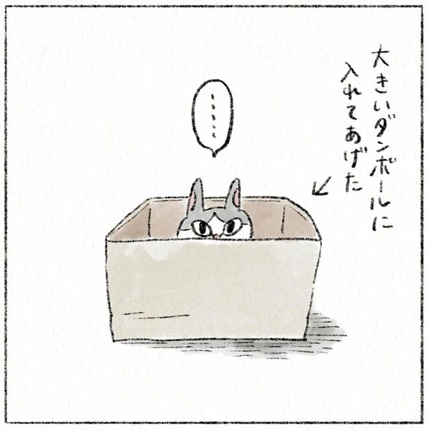大きいダンボールに入れてあげた （C）のなか海／KADOKAWA