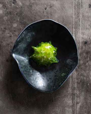 感性に触れる器。世界的リモージュ磁器ブランド「Sarah-Linda」が日本初上陸