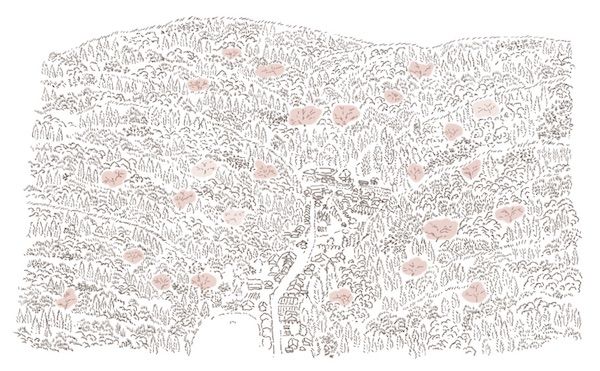 ライフスタイルブランド「石見銀山 群言堂」に山桜で染めた新作コレクションが登場