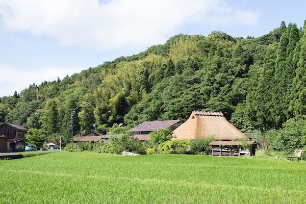 ライフスタイルブランド「石見銀山 群言堂」に山桜で染めた新作コレクションが登場