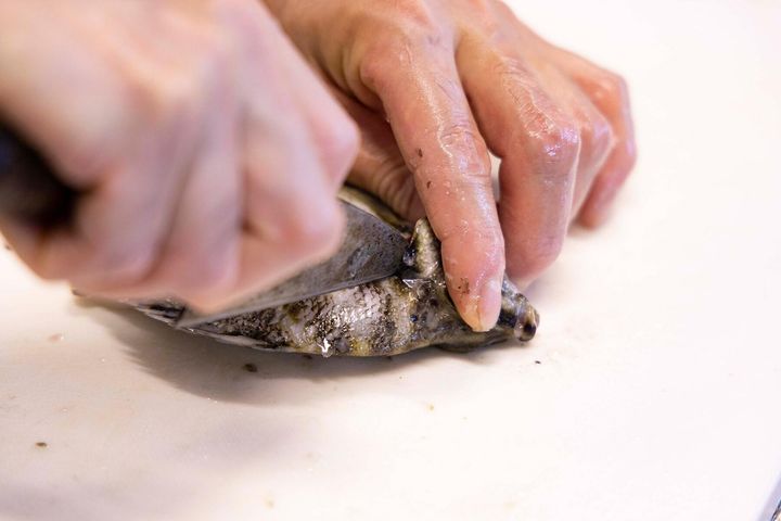 切り目を入れる