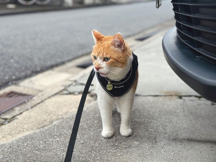 くんくん、「くっさー」