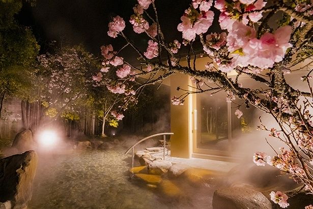 花見風呂