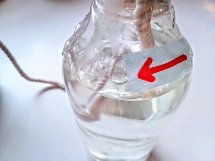 やっぱり『空ペットボトル』は万能なんです！家事＆春のお出かけで役立つ便利ワザ3つ