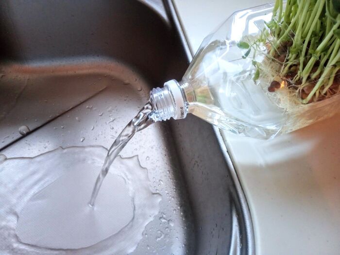 やっぱり『空ペットボトル』は万能なんです！家事＆春のお出かけで役立つ便利ワザ3つ