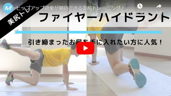 ファイヤーハイドランド動画