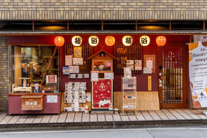 自宅のようにくつろげて、お泊りもできる♪大阪ミナミにある保護猫カフェ「ねこ浴場＆ねこ旅籠」