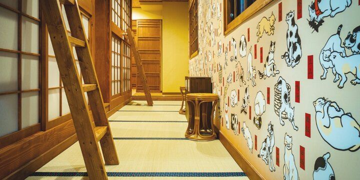 自宅のようにくつろげて、お泊りもできる♪大阪ミナミにある保護猫カフェ「ねこ浴場＆ねこ旅籠」