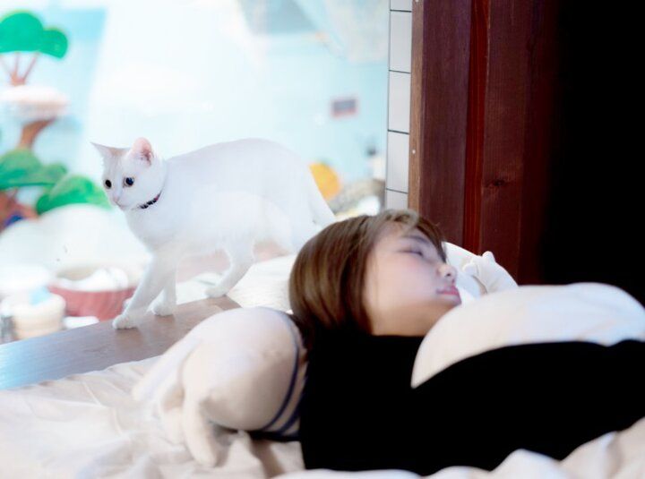 自宅のようにくつろげて、お泊りもできる♪大阪ミナミにある保護猫カフェ「ねこ浴場＆ねこ旅籠」