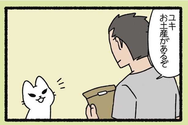 お土産のセンスが微妙。飼い主に無言の抵抗をする「ゆきおんな」 （C）ぱんだにあ／竹書房