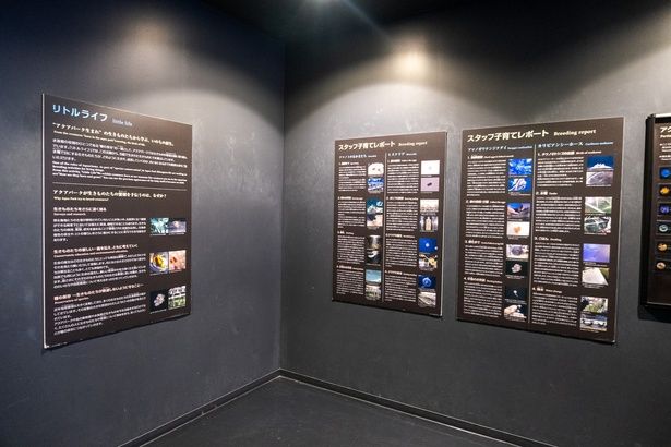 スタッフによる、生きものたちの子育てレポートなども詳しく紹介されている