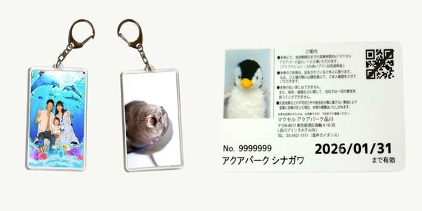 来場記念のフォトキーホルダーと、日付入り記念カードがプレゼント。こちらの料金は入場料に含まれているのがうれしい