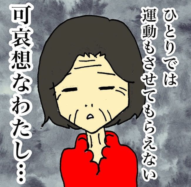 母の認知症介護日記／ワフウフ