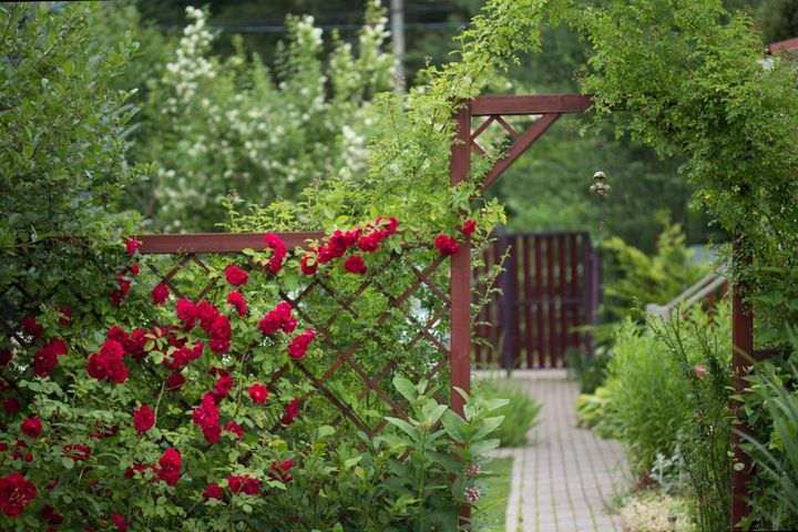 広い庭園に設けた赤茶色のゲートをバラが覆います。手前の赤いバラは半つる性、アーチにもランブラーローズやつる性植物を誘引。