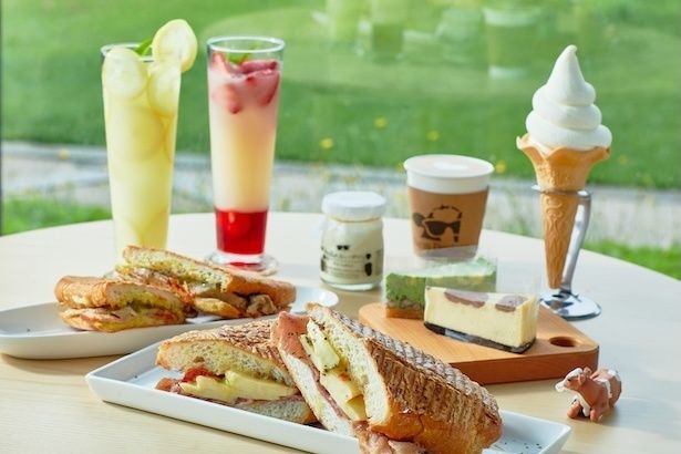 カフェ「ファームデザインズトマム店」 