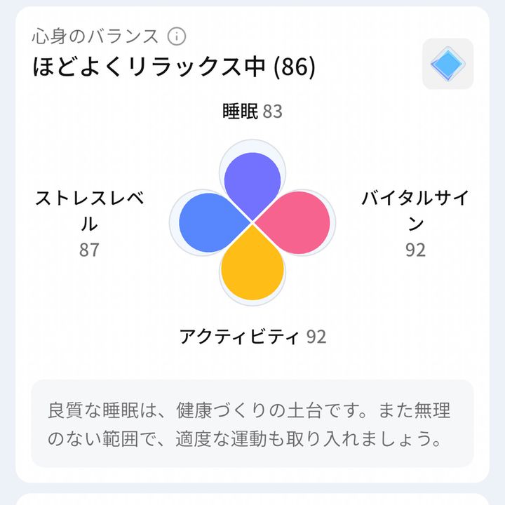 基本的なデータ。できるだけバランスよく高得点になるように気を付けています。