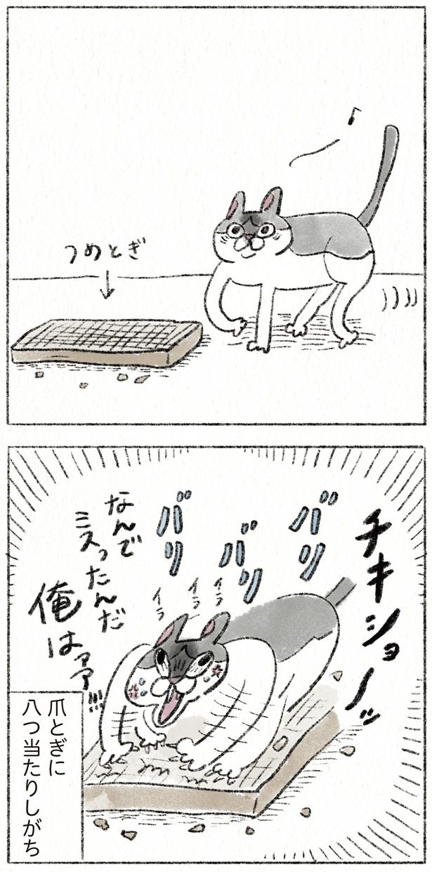 爪とぎに八つ当たりしがち （C）のなか海／KADOKAWA