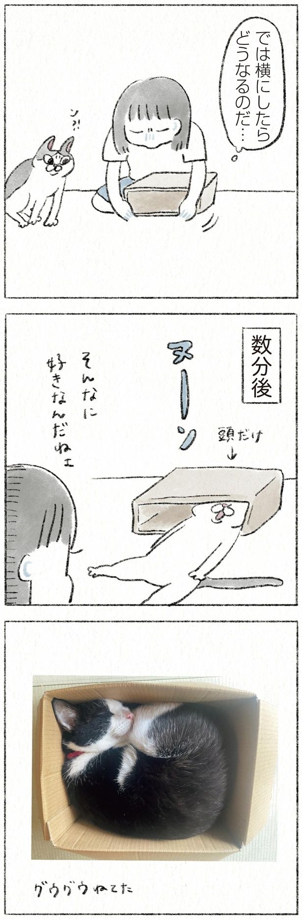 横にしたらどうなるのだ… （C）のなか海／KADOKAWA