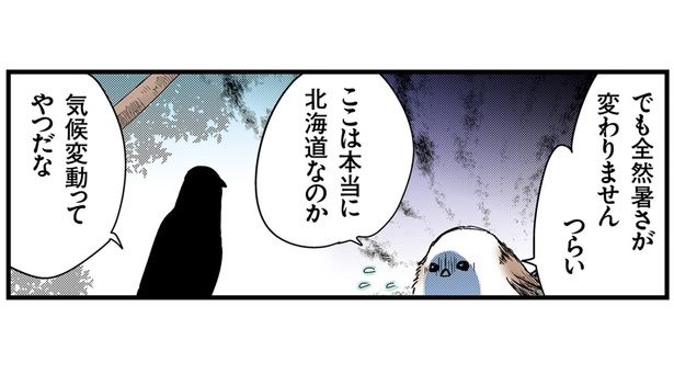 ここは本当に北海道なのか （C）青春／KADOKAWA