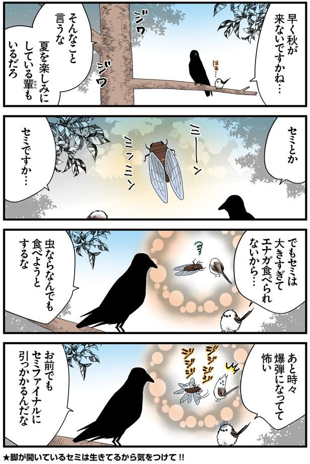 セミファイナルに引っかかる （C）青春／KADOKAWA