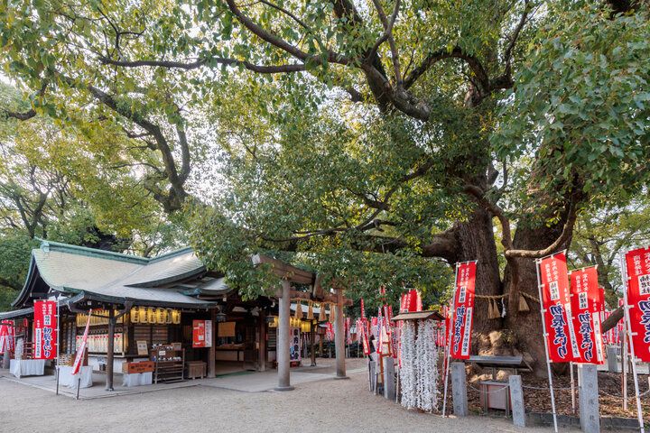 1800年の歴史を紡ぐ大阪「住吉大社」で、幸せを呼ぶ招福猫に願いを込めて