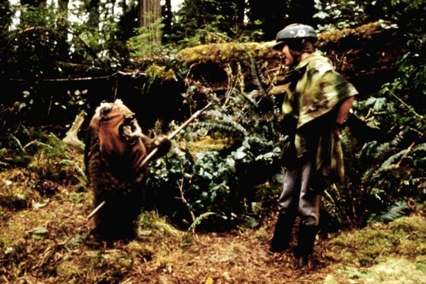 イウォークたちが暮らすエンドアとなっている(『スター・ウォーズ エピソード6/ジェダイの帰還』) TM & Copyright [c] 20th Century Fox Film Corp., 1983, All rights reserved.