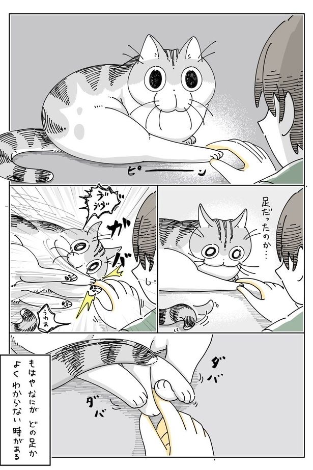 02 画像提供：キュルZ@kyuryuZ