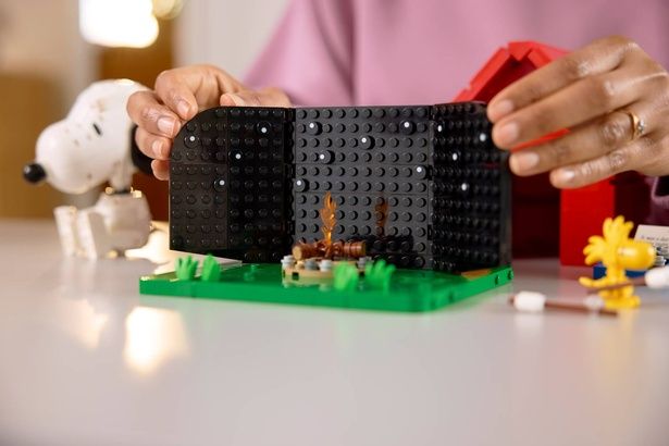 犬小屋の内壁を開くと、星が散りばめられた夜空に