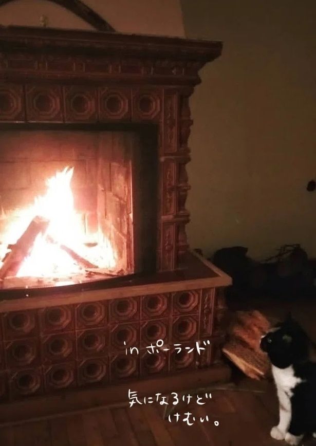 日本の冬とポーランドの冬の違い03 画像提供：かんさび(@kansabi_kk)