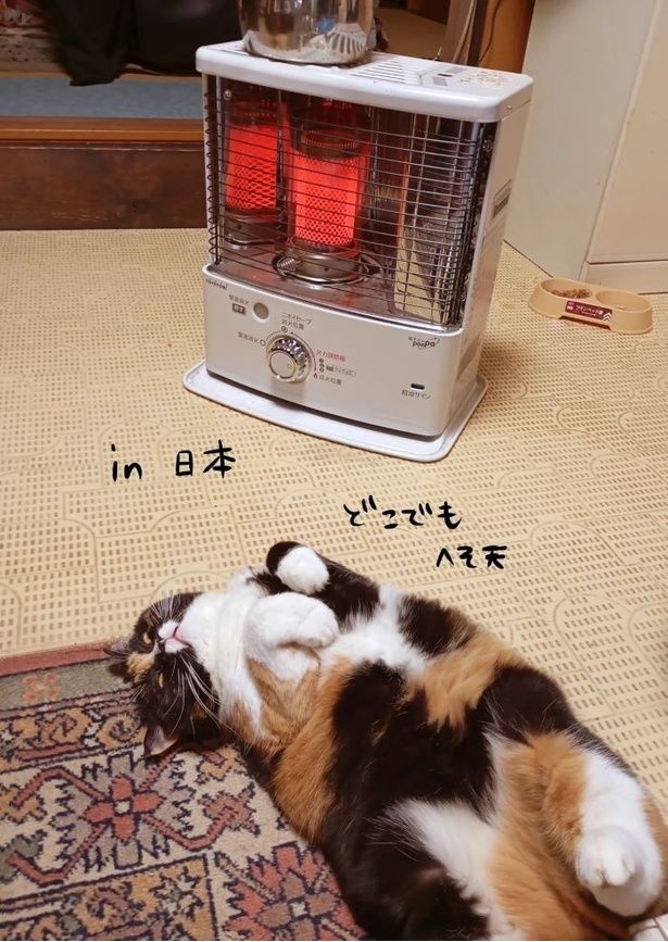 日本の冬とポーランドの冬の違い04 画像提供：かんさび(@kansabi_kk)