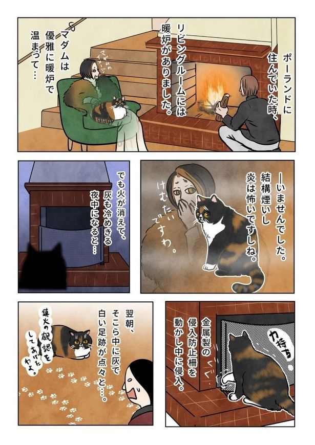 日本の冬とポーランドの冬の違い01 画像提供：かんさび(@kansabi_kk)