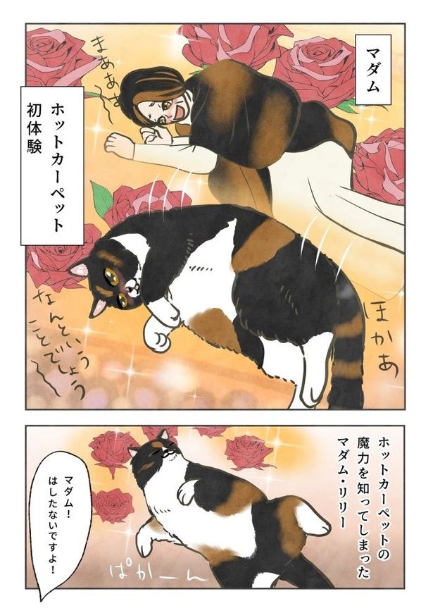 マダムリリー、ホットカーペット初体験02 画像提供：かんさび(@kansabi_kk)