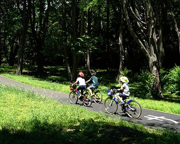 明治神宮外苑 〜 国立競技場 〜 ワタリウム美術館 〜 表参道ヒルズ 〜 東急プラザ表参道「オモカド」 〜 明治神宮 〜 代々木公園 〜 SHIBUYA SKYをめぐる新宿・渋谷の自然と街の散策コース