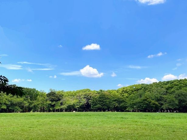 「代々木公園」の真ん中にある中央広場 画像提供：東京都公園協会 代々木公園