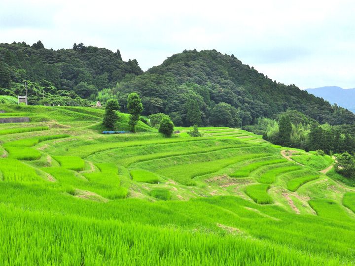 夏は避暑地、冬はイルミネーション！ラウンドの後は大自然に癒されよう