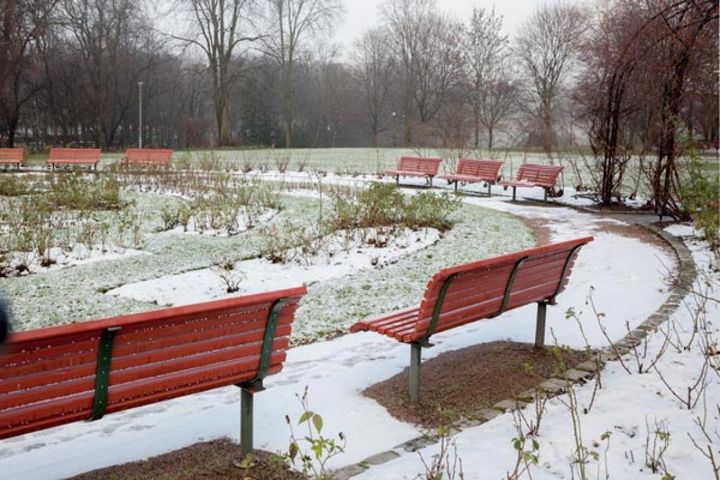 ノルエェー、オスロのグスタフ・ヴィーゲラン公園の冬のローズガーデン。北国のバラ栽培では雪解け後、少し暖かくなってきてから剪定や誘引の作業が行われます。