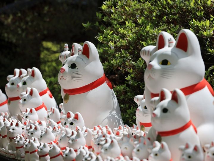 2026年2月24日は「己巳の日」と「大明日」が重なる超吉日。新しい挑戦や副業、お財布の新調など、将来の豊かさの種をまく絶好のチャンスです。運気を最大化するために「やるといいこと・避けるべきこと」をチェックして！（画像出展：PIXTA）