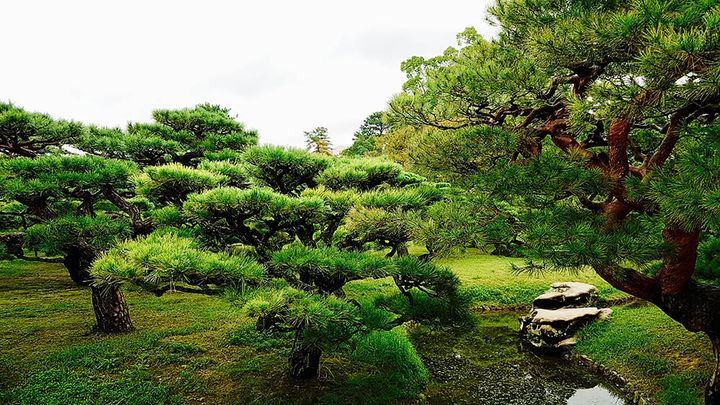 修学院離宮庭園（京都）
