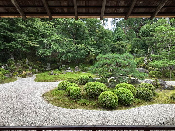 曼殊院庭園（京都）