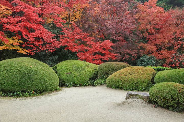 詩仙堂庭園（京都）