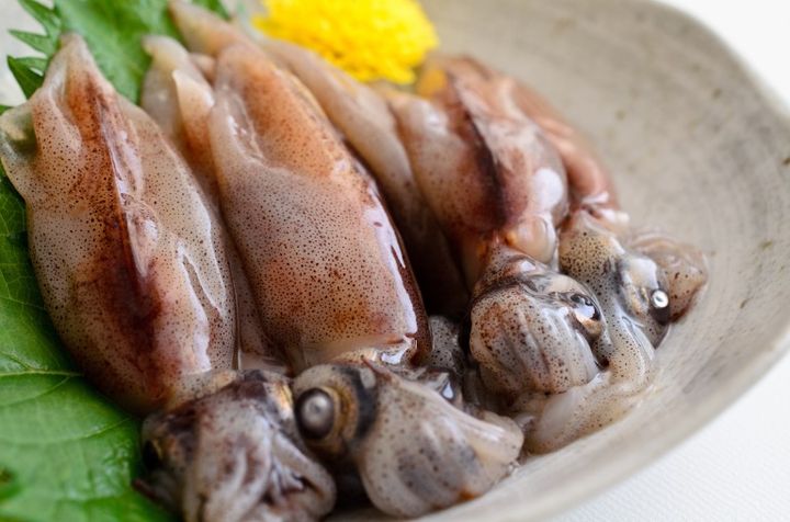 生のホタルイカ 刺身