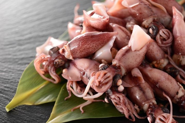 新鮮なホタルイカ