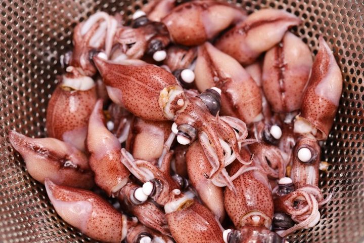 ホタルイカを茹でてザルで水を切っている
