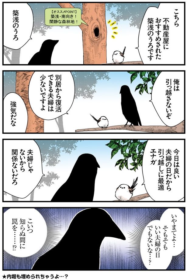 内堀も埋められちゃうよ…？ （C）青春／KADOKAWA