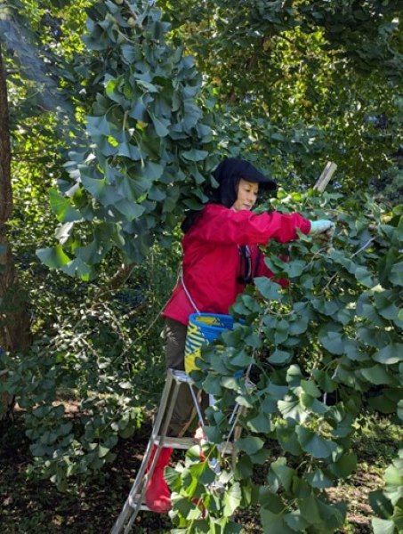 50代後半でも、可能性はまだまだある