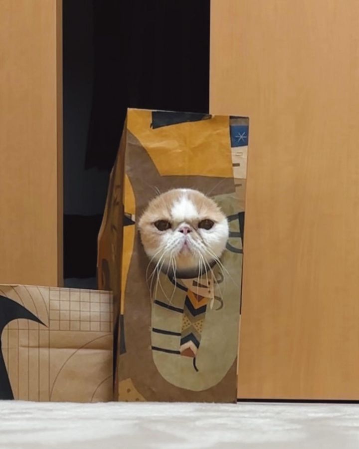 ※写真はイメージ。