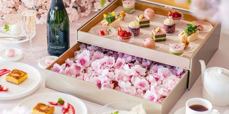 グラングリーン大阪／ザ ジャクソン ガーデン】春限定！ 満開の桜に
